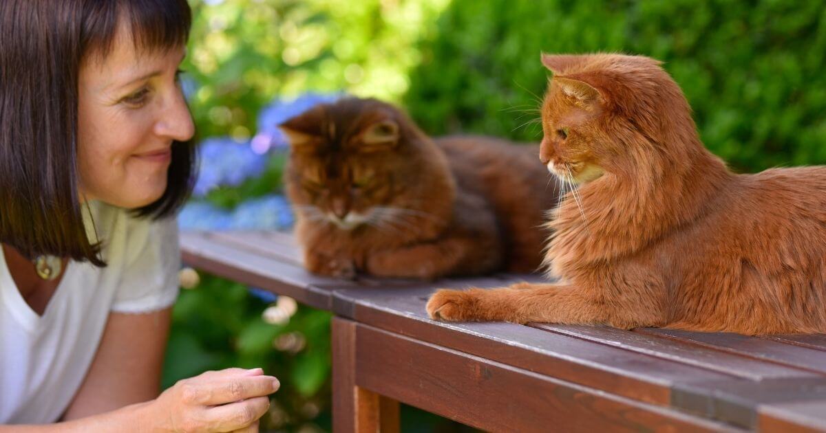 Vorschau-Bild Header Blog