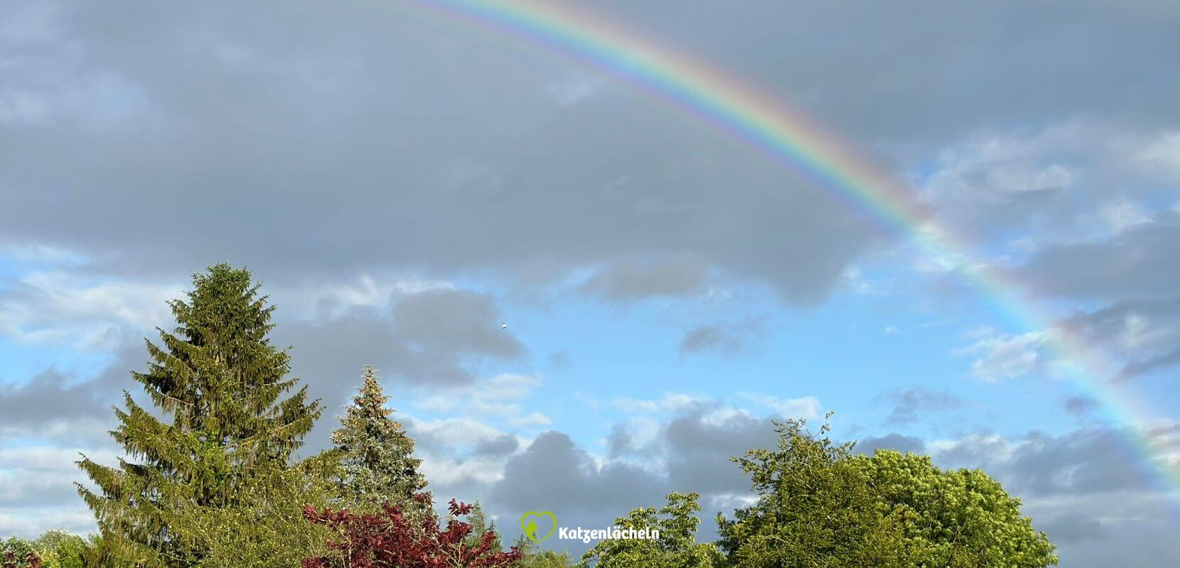 Regenbogen