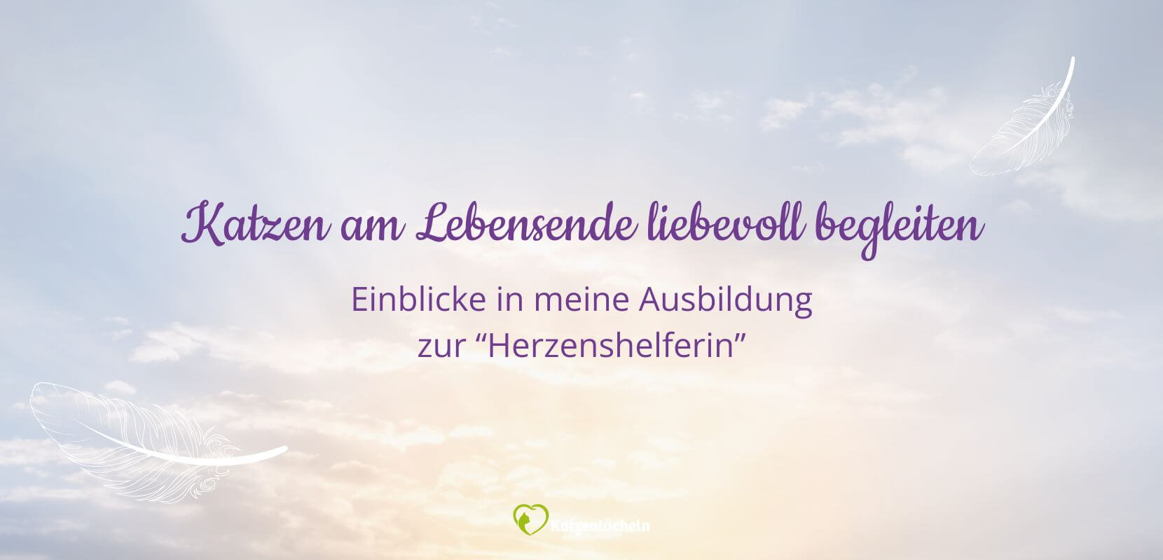 Titelbild Herzenshelfer (1660 x 800 px)